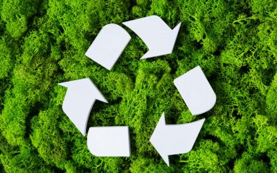 Plásticos reciclables, biodegradables y compostables.